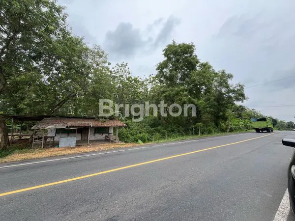 image TANAH STRATEGIS 51 HA DEKAT TOL SIDOMULYO LAMPUNG SELATAN (3)