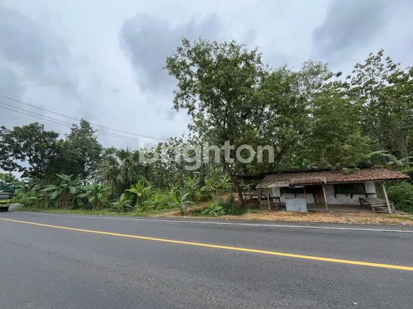 image TANAH STRATEGIS 51 HA DEKAT TOL SIDOMULYO LAMPUNG SELATAN (4)