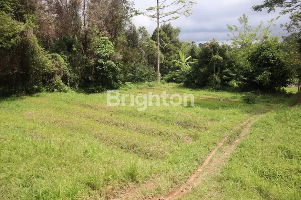 image TANAH 87 ARE DI BATURITI, BONUS SUNGAI, VIEW SAWAH, 15 MENIT KE JATILUWIH (3)