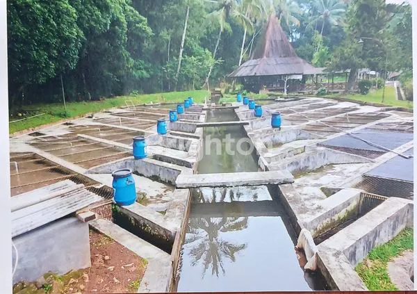 image PELUANG LANGKA! TANAH SHM PREMIUM 29123M² DI KAWASAN SEJUK CINAGARA CARINGIN BOGOR, SIAP DIKEMBANGKAN IDEAL VILLA, PERUMAHAN, RESORT/ECO TOURISM (5)