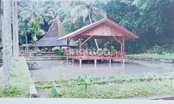 image PELUANG LANGKA! TANAH SHM PREMIUM 29123M² DI KAWASAN SEJUK CINAGARA CARINGIN BOGOR, SIAP DIKEMBANGKAN IDEAL VILLA, PERUMAHAN, RESORT/ECO TOURISM (7)