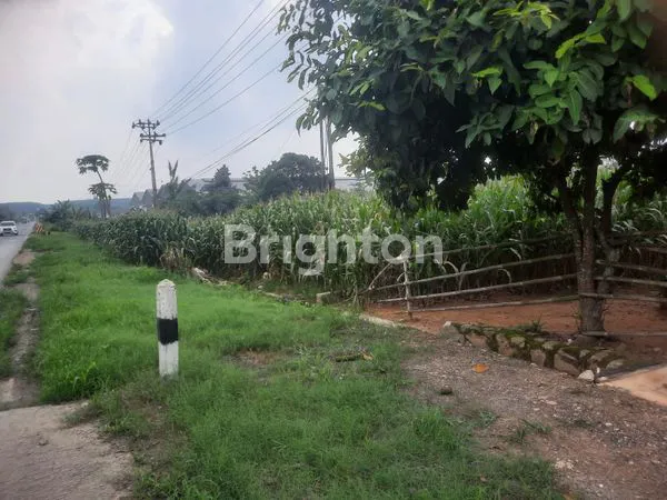 image TANAH STRATEGIS 2,2 HEKTAR PINGGIR JALAN SUTAMI LAMPUNG (3)
