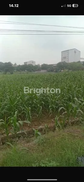 image TANAH STRATEGIS 2,2 HEKTAR PINGGIR JALAN SUTAMI LAMPUNG (4)