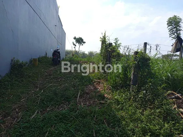 image TANAH PREMIUM 7500M² DEKAT EXIT TOL PAKIS, MALANG (4)