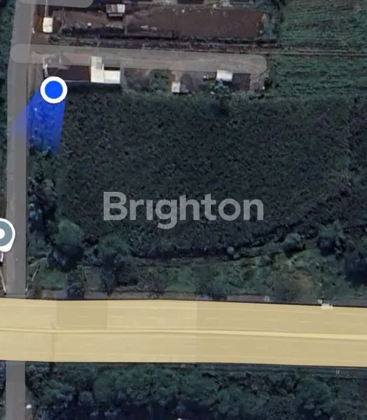 image TANAH PREMIUM 7500M² DEKAT EXIT TOL PAKIS, MALANG (6)