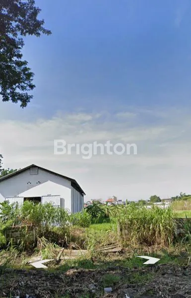 image TANAH PREMIUM 1 HA DI RAYA PAKAL, LOKASI STRATEGIS SHM (1)