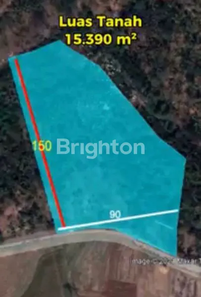 INVESTASI EMAS: TANAH 15.390M² DI SELEMADEG TIMUR TABANAN