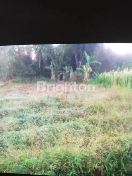 image TANAH MURAH DI JALAN TURGO BARISAN SLEMAN PAKEM KALIURANG YOGYAKARTA JAWA TENGAH (1)