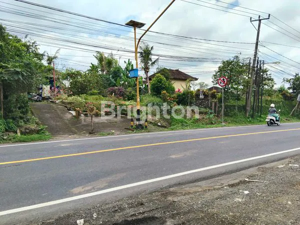 image JUAL TANAH DI SELEMADEG (3)