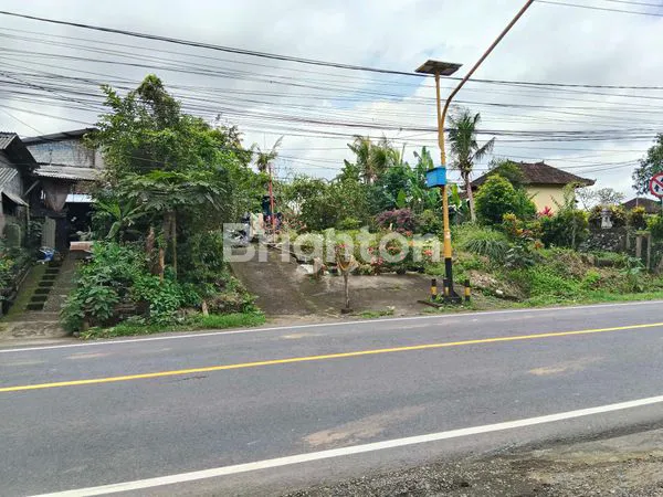 image JUAL TANAH DI SELEMADEG (4)