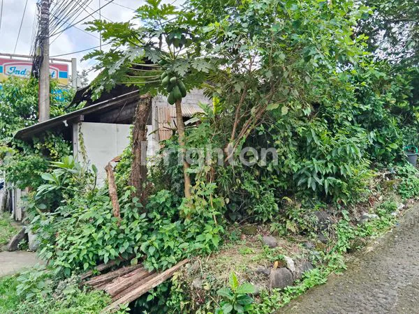 image JUAL TANAH DI SELEMADEG (6)