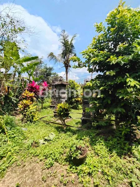 image JUAL TANAH DI SELEMADEG (8)