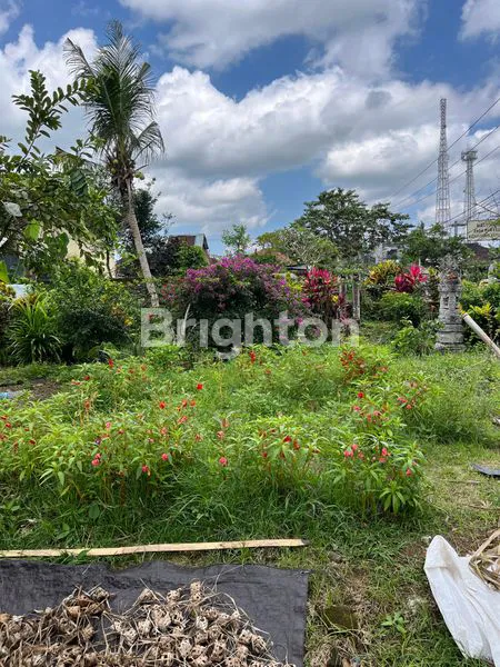 image JUAL TANAH DI SELEMADEG (2)