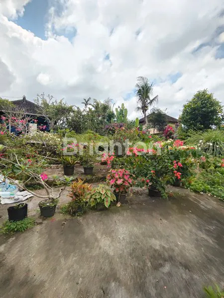 image JUAL TANAH DI SELEMADEG (5)