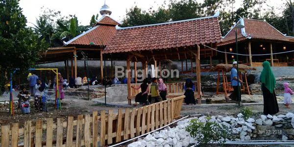 image EX RUMAH MAKAN AYAM GUNUNG KIDUL ISTIMEWA YOGJAKARTA (2)
