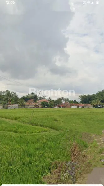 image TANAH SAWAH PRODUKTIF 2785M² SHM DI CIRANJANG, CIANJUR (1)
