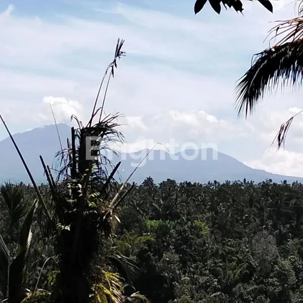 image LAHAN BUC DENGAN VIEW GUNUNG, JUNGLE & SUNGAI DI UBUD, BALI (4)