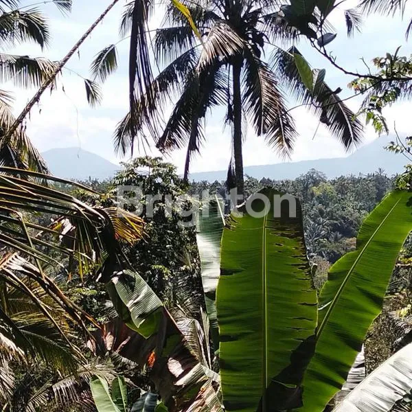 image LAHAN BUC DENGAN VIEW GUNUNG, JUNGLE & SUNGAI DI UBUD, BALI (2)