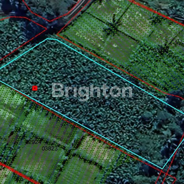 image LAHAN BUC DENGAN VIEW GUNUNG, JUNGLE & SUNGAI DI UBUD, BALI (6)