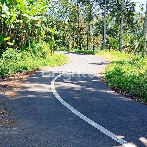 image LAHAN BUC DENGAN VIEW GUNUNG, JUNGLE & SUNGAI DI UBUD, BALI (1)