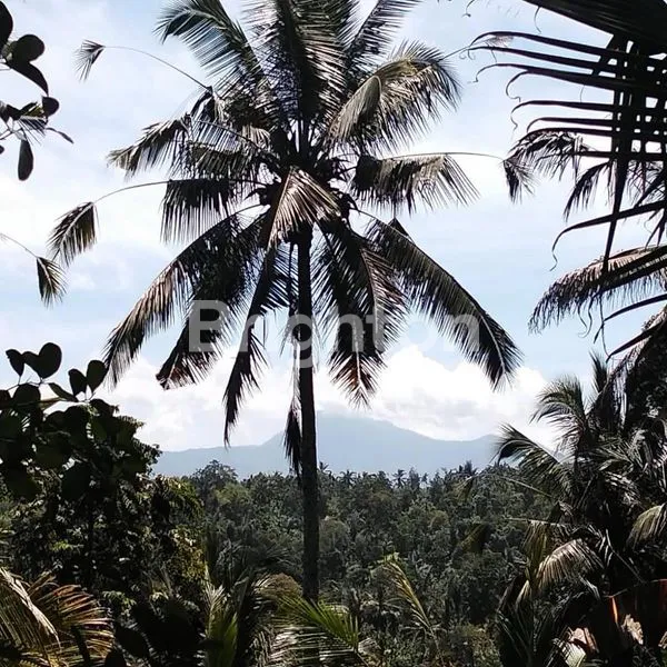image LAHAN BUC DENGAN VIEW GUNUNG, JUNGLE & SUNGAI DI UBUD, BALI (3)