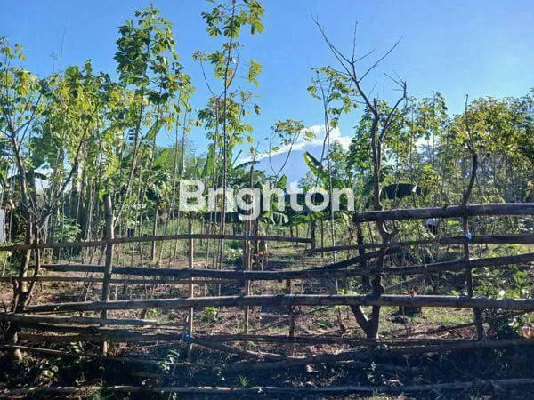 image TANAH PREMIUM 626M² DI TAMAN DAYU, VIEW INDAH, SIAP BANGUN (1)