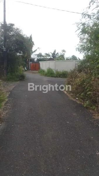 image TANAH PREMIUM VIEW LAUT DI SAWANGAN NUSA DUA 7800M² (3)