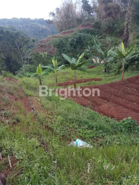 image JUAL TANAH SITUWANGI KBB (4)