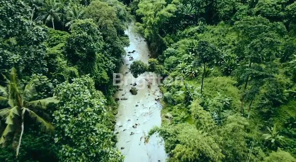 image LAND 18 ARE LUSH JUNGLE FOR LEASE – 10 MINUTES TO NUANU & BEACH (TANAH DI TABANAN) (2)