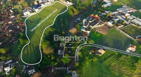 image PREMIUM RIVERFRONT JUNGLE LAND IN KABA-KABA (TANAH DI TABANAN) (3)