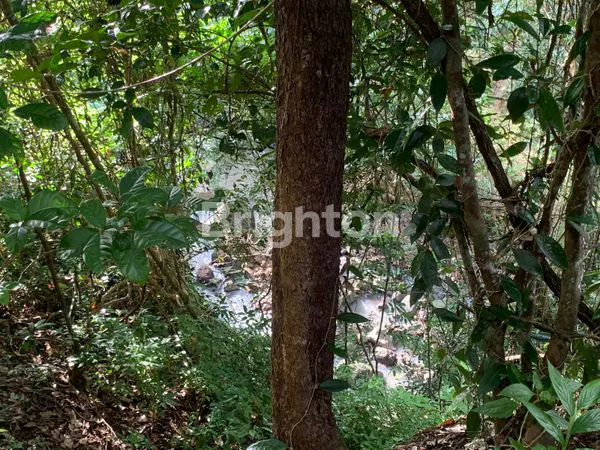 image TANAH LUAS 1 HA DI SELEMADEG, 5 MENIT KE PANTAI SOKA (7)