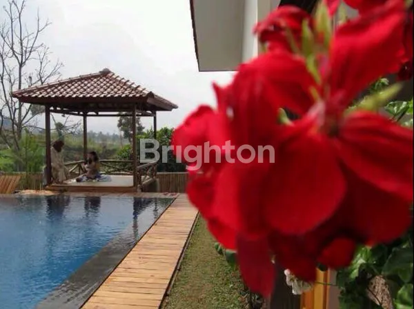 image VILLA DI LEMBANG, JAWA BARAT (1)