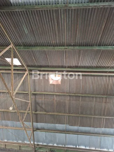 image DISEWAKAN GUDANG (6)