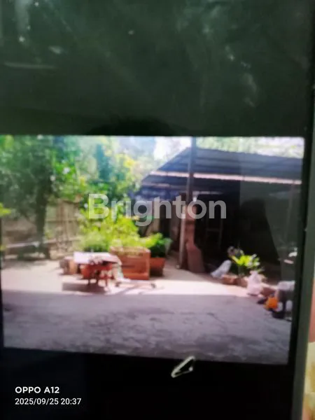 image DIJUAL / DISEWA (2)