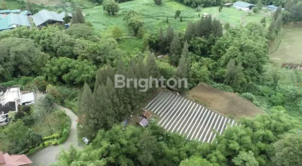 image TANAH JARANGUDA , TANAH KARO, BERASTAGI (4)