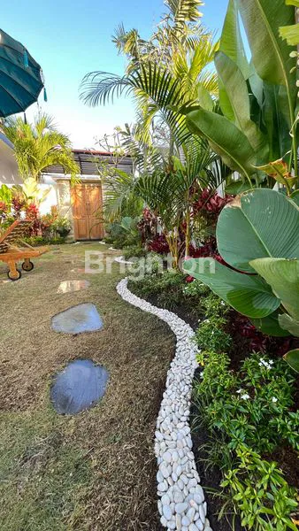 image VILLA DENGAN POOL DAN HALAMAN LUAS DI PADANG LINJONG CANGGU (4)
