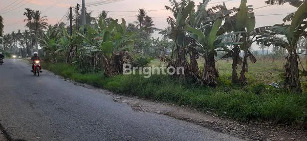 image TANAH PREMIUM 6840M² PINGGIR JALAN UTAMA JATI AGUNG LAMPUNG (1)