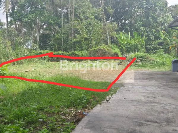 image LAHAN SECANG TEMANGGUNG DIJUAL ISTIMEWA (2)
