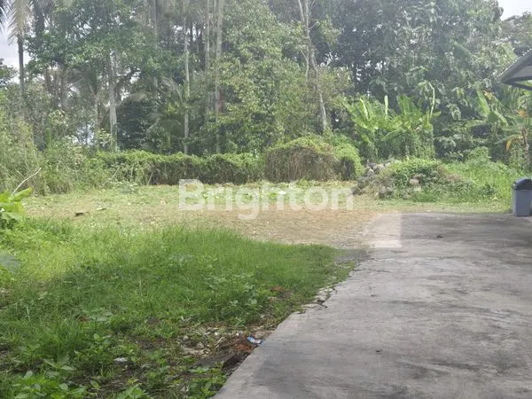 image LAHAN SECANG TEMANGGUNG DIJUAL ISTIMEWA (4)