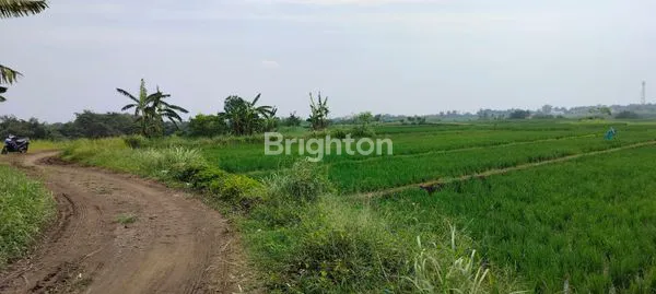 image  DIJUAL TANAH DI KELATING – TABANAN\N (2)
