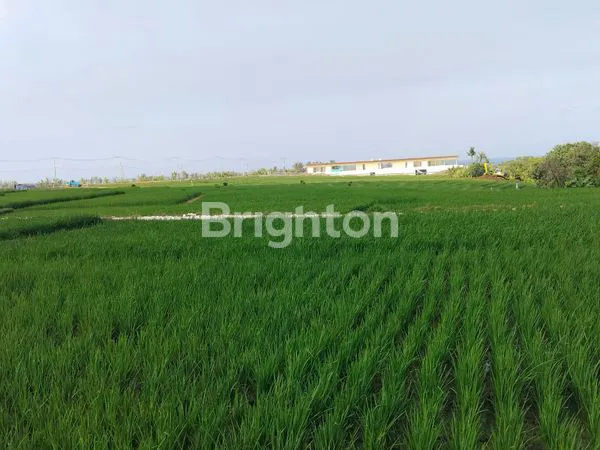 image \UD83C\UDF34 DIJUAL TANAH DI PASUT – TABANAN (4)