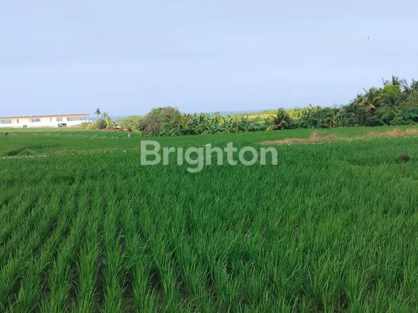 image \UD83C\UDF34 DIJUAL TANAH DI PASUT – TABANAN (5)