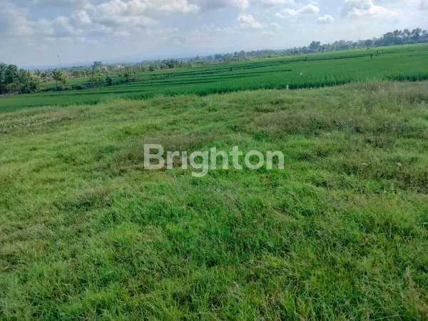 image \UD83C\UDF34 DIJUAL TANAH DI PASUT – TABANAN (6)