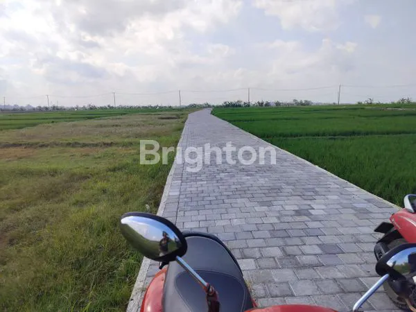 image \UD83C\UDF34 DIJUAL TANAH DI PASUT – TABANAN (1)