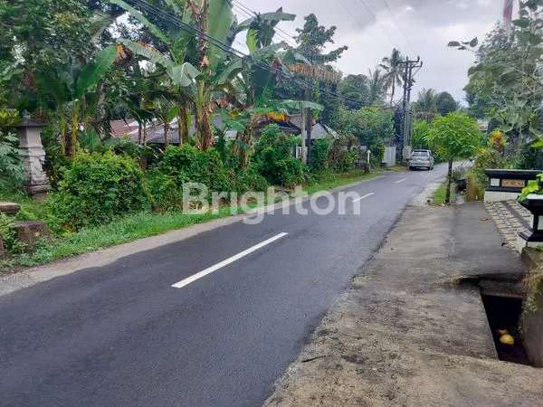 image  DIJUAL TANAH DI DESA SAMSAM – KERAMBITAN, TABANAN (2)