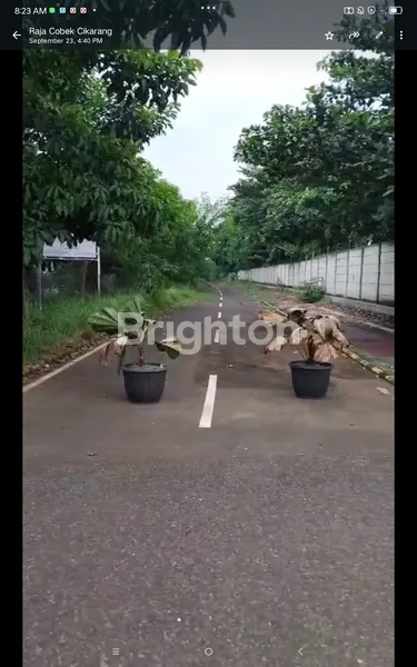 image LAHAN EX PABRIK 4,6 HEKTAR PASAR REBO JAKARTA TIMUR 12JT/METER NEGO SAMPAI TERJUAL (3)