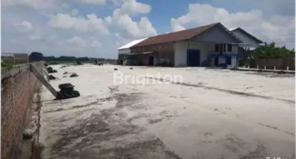 image GUDANG DI BAWAH APPRASIAL BANK (2)