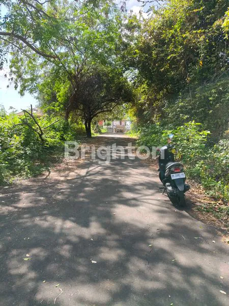 image *KESEMPATAN EMAS – 530 M², SHM DI TAMAN GRIYA, JIMBARAN BALI* (2)