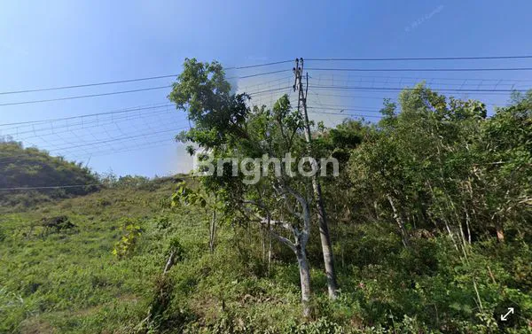 image TANAH MURAH LOJI DRINI GUNUNG KIDUL (4)