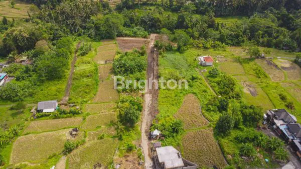 image INVESTASI TANAH KAVLING STRATEGIS DI KAWASAN WISATA GIANYAR (5)